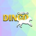 Dingo Casino Review