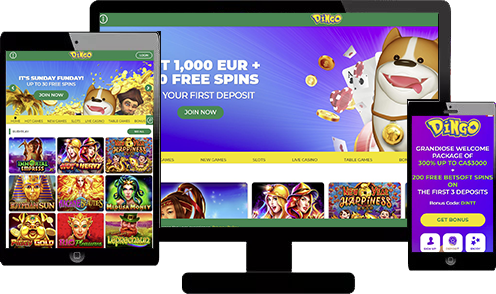 Dingo Casino mobile