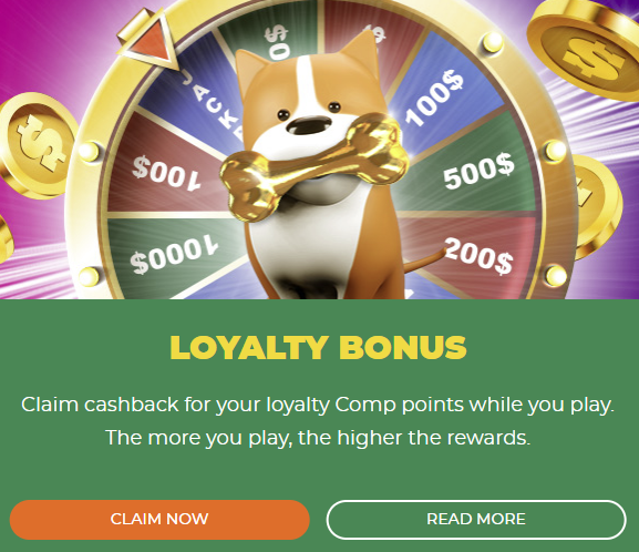 Dingo Casino Bonus and Promotions